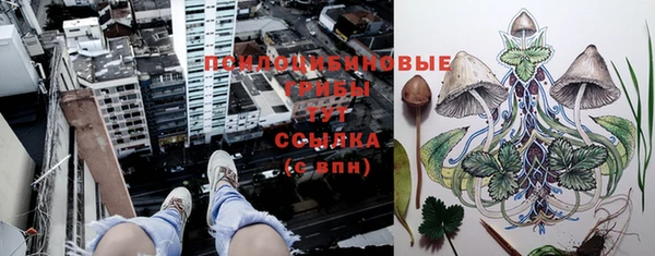 mix Алексин