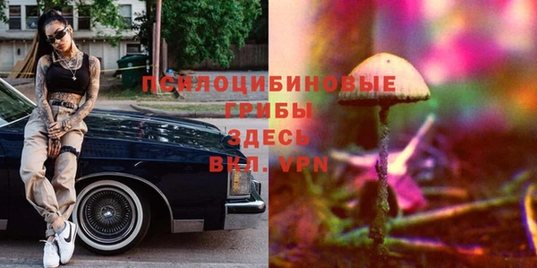 mix Алексин