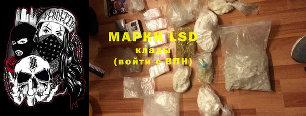 стаф Алзамай