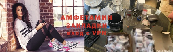 стаф Алзамай