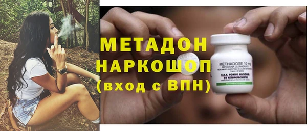 стаф Алзамай
